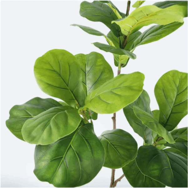 Ficus1 Luminex Műnövény 135 cm